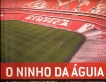 O ninho da aguna